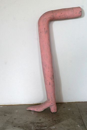 Pink Leg