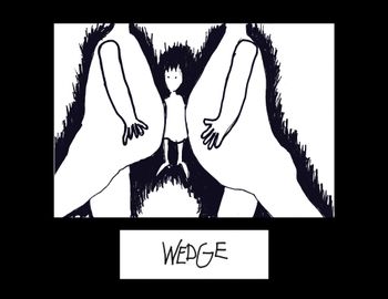 11. Wedge Title